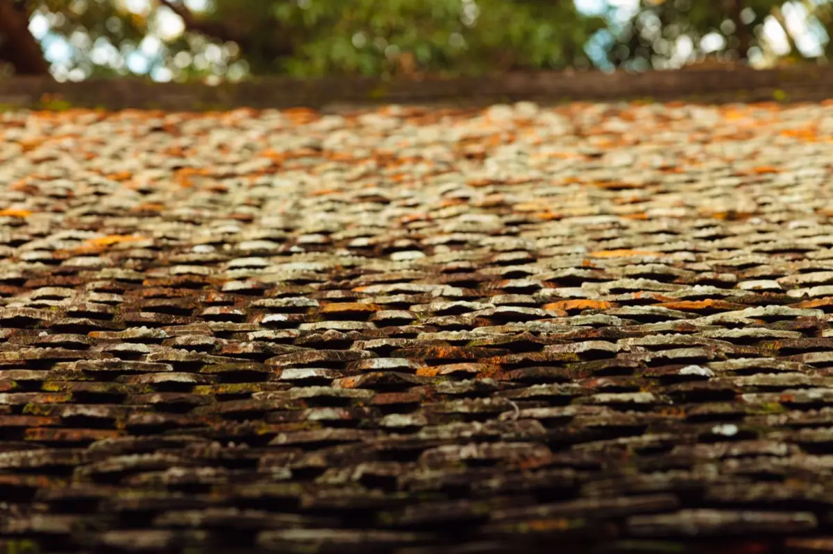 Aging shingle roof with moss growth and granule loss in Louisville, KY
